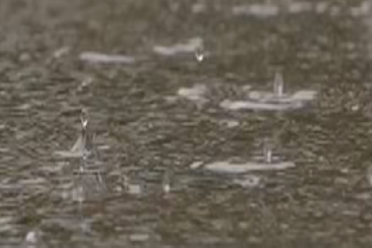Water